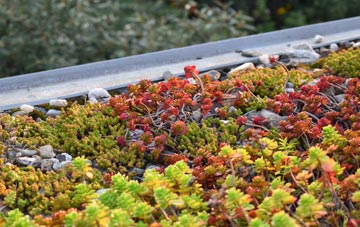 the cost of Medlyn green roof installation