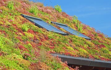 Medlyn living roof systems