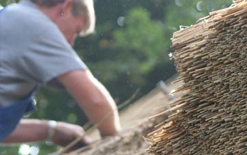 professional Medlyn thatchers