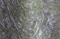 Medlyn fibreglass roof work